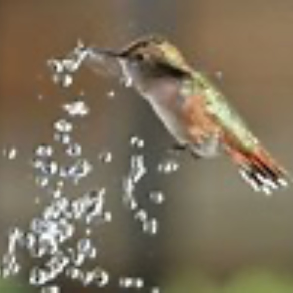 ✨🕊🔮Comments FULL !!🕊🔮Go to NEW Listing !!🕊🔮✨ - Picture 8 of 11